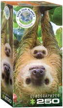 Cargar imagen en el visor de la galería, Puzzle Oso perezoso (250 piezas) Marca Eurographics