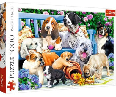 Puzzle 1000 piezas
