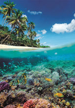 Cargar imagen en el visor de la galería, Puzzle 1000 clementoni
