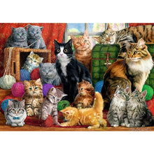 Cargar imagen en el visor de la galería, Puzzle 1000 piezas
