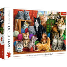 Cargar imagen en el visor de la galería, Puzzle 1000 piezas
